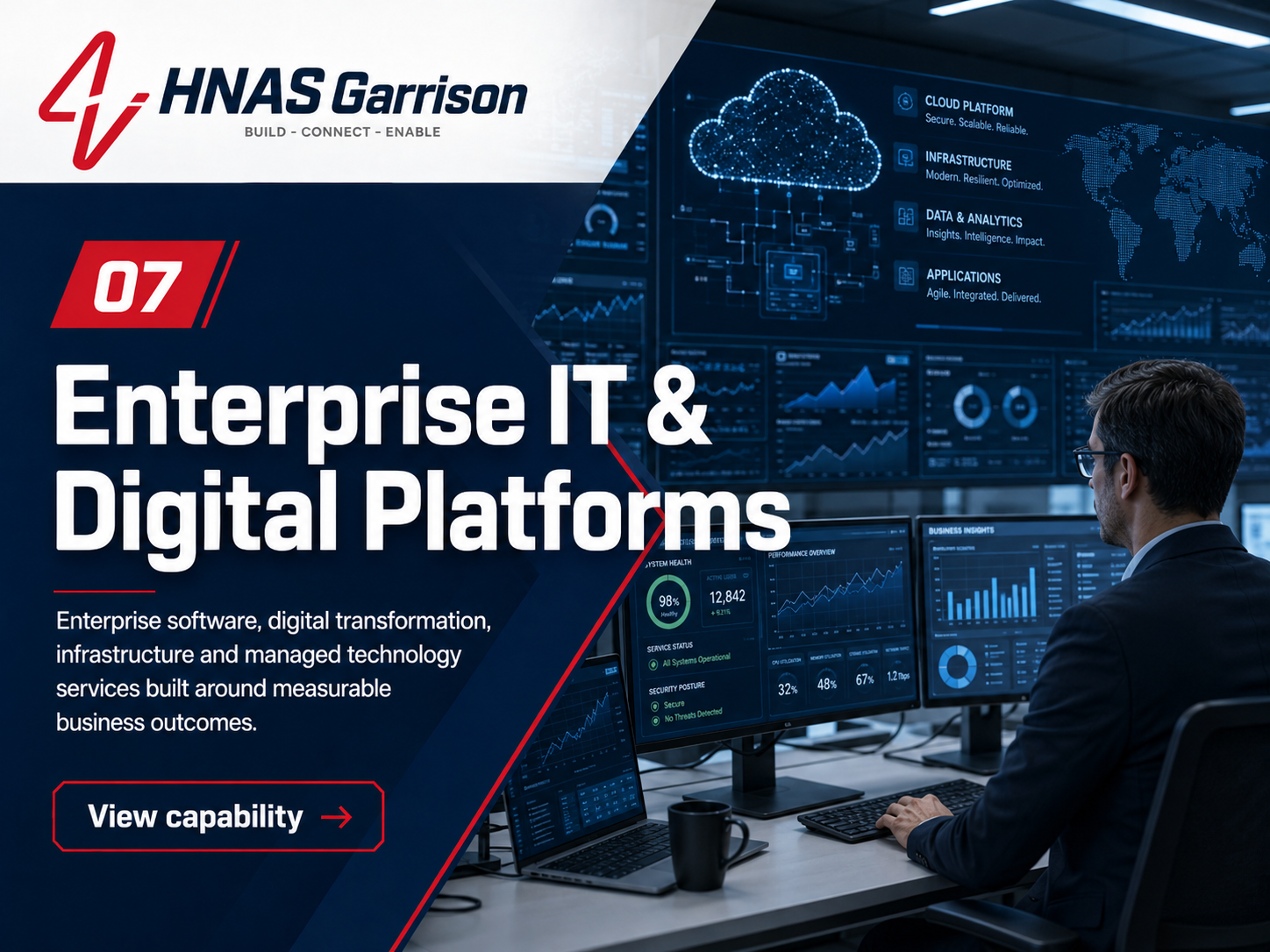 Enterprise IT & Digital Platforms